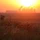 Image for article titled 'Maddening' Climate Talks End in a Weak Agreement That Won't Avert Catastrophe